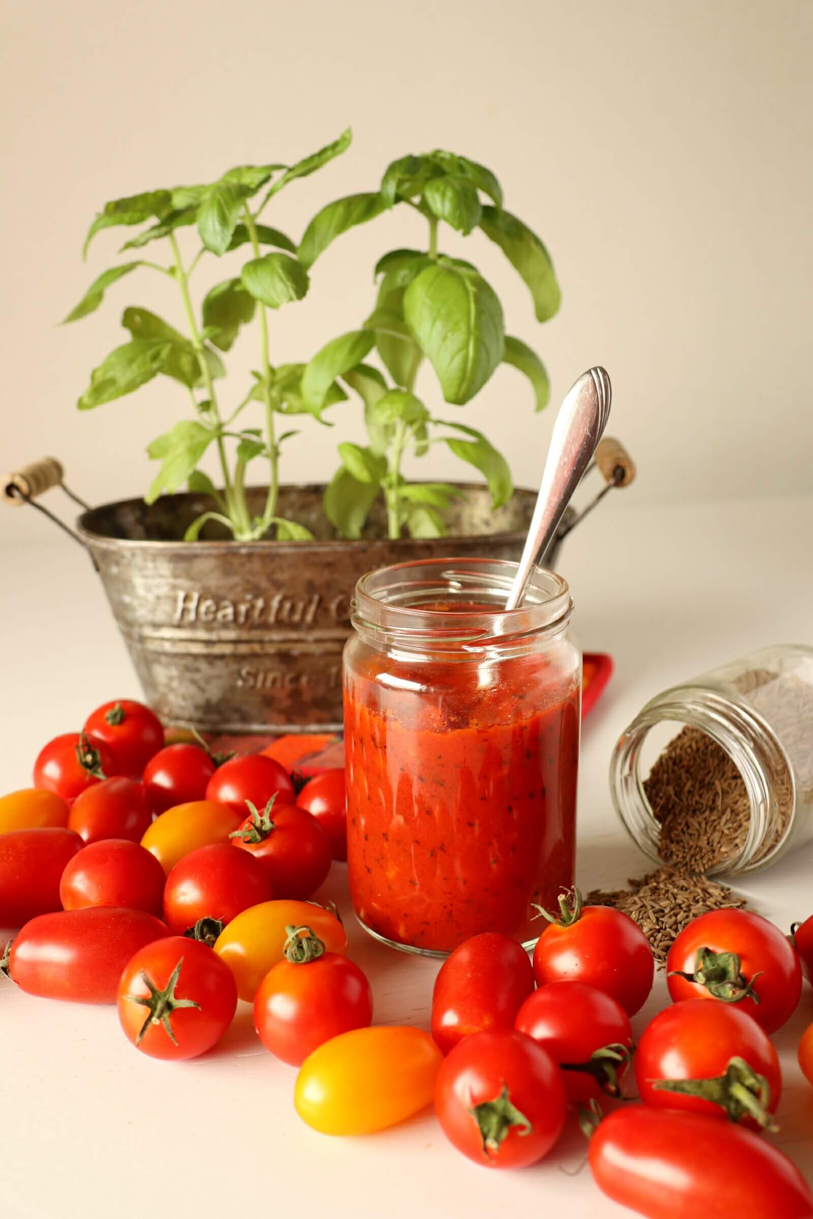 簡単 万能 新鮮 ドレッシング ソース ８月は発酵トマトソース