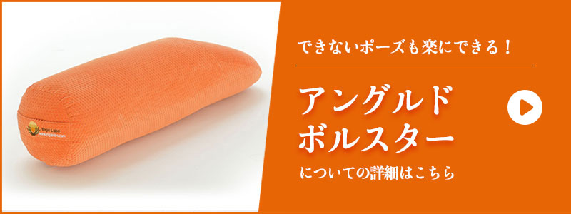 アングルドボルスターの購入はこちら
